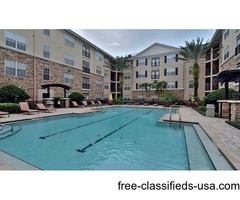 Fully Furnished Apartment and Condo for Rent | free-classifieds-usa.com - 1