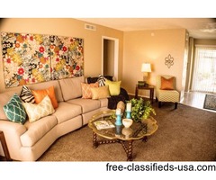 Spacious 1BD Southside Aparments with Electricity PAID! | free-classifieds-usa.com - 1