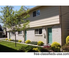 Spacious 2 BR in Hyde Park Area | free-classifieds-usa.com - 1
