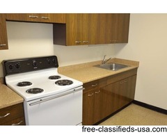 LAKEVIEW LIVING - ONE BEDROOMS | free-classifieds-usa.com - 1