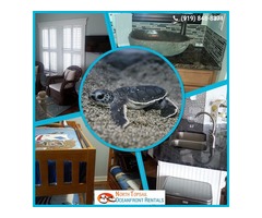 Oceanfront Vacation Rentals Topsail Island NC | free-classifieds-usa.com - 1