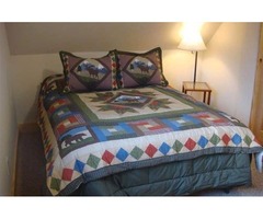 Cabin Featuring 3 Queen Beds in Willow, Alaska | free-classifieds-usa.com - 4