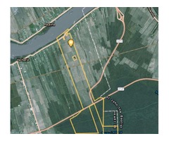 VACHERIE, LA SUGAR CANE PLANTATION FOR SALE AT AUCTION | free-classifieds-usa.com - 1