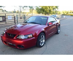 2003 Ford Mustang | free-classifieds-usa.com - 1