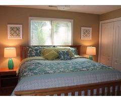 Tree House to Offer One of a Kind Vacation Experience | free-classifieds-usa.com - 1