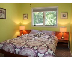 Tree House to Offer One of a Kind Vacation Experience | free-classifieds-usa.com - 3