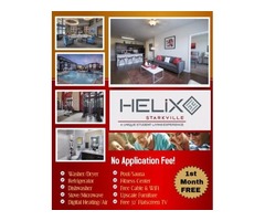 Fabulous 1-Bedroom Furnished Apartment | free-classifieds-usa.com - 1
