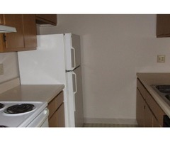 Two Bedroom Apartments Available | free-classifieds-usa.com - 1
