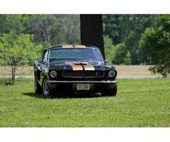 1966 Ford Mustang GT350 | free-classifieds-usa.com - 1