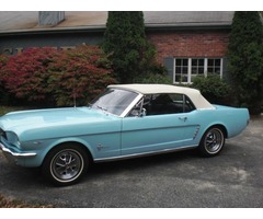 1964 Ford Mustang | free-classifieds-usa.com - 1