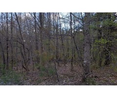 Over 6 Acres in Limerick Country Setting | free-classifieds-usa.com - 1