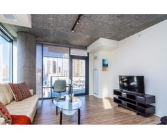 2br Furnished Suite in Chicago South Loop | free-classifieds-usa.com - 1