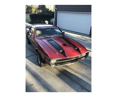 1970 Ford Mustang Shelby GT-500 | free-classifieds-usa.com - 1