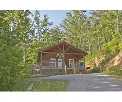 Three Bear Mountain Vacation Rental Homes in Pigeon Forge, TN | free-classifieds-usa.com - 3