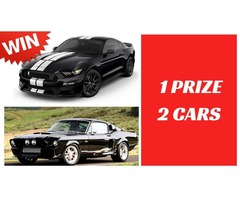 Enter Our Amazing Competition Today. One Price, One Ticket, Three Competitions. | free-classifieds-usa.com - 4