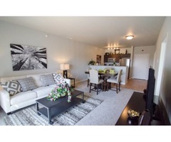 Wanted someone to take over MINOT 1 bed, 1 bath lease | free-classifieds-usa.com - 1