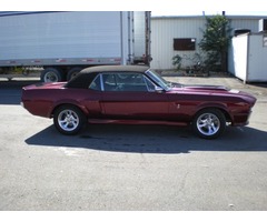 1967 Ford Mustang | free-classifieds-usa.com - 1