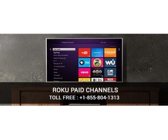 Now Stream Top 10 Paid Channels on Roku | free-classifieds-usa.com - 1
