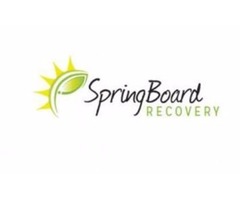 SpringBoard Recovery | free-classifieds-usa.com - 1