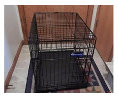 Wire Pet Cages | free-classifieds-usa.com - 1