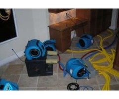 iMold US Water Damage & Mold Removal Service | free-classifieds-usa.com - 1