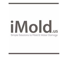 iMold US Water Damage & Mold Removal Service | free-classifieds-usa.com - 3