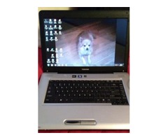 Toshiba laptop for sale | free-classifieds-usa.com - 1
