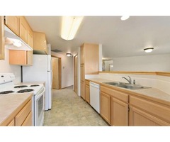 RENT $1200. DEPOSIT $1200 MONTHLY | free-classifieds-usa.com - 1