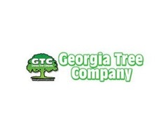 Best Tree Removal Service in Atlanta | free-classifieds-usa.com - 1