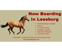 Boarding Horses | free-classifieds-usa.com - 1
