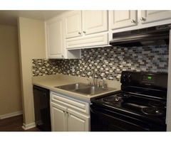 Renovated one bedroom apartment available to move in immediately | free-classifieds-usa.com - 1