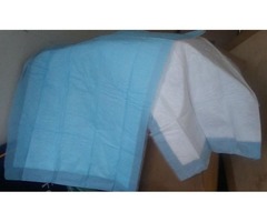 Medline UnderPads (absorbancy pads) 100 in a case | free-classifieds-usa.com - 1