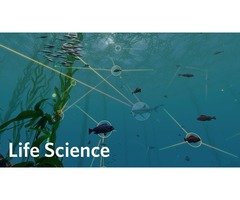 Online Life Science Tutor | Science Tutor | Heytutor | free-classifieds-usa.com - 2
