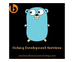 Golang Development Solutions | Golang Development Services | free-classifieds-usa.com - 1