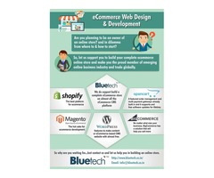 Hire The Best Shopify E-commerce Development Company | free-classifieds-usa.com - 1
