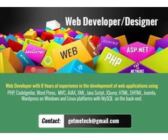 Professional and talented web development/SEO   | free-classifieds-usa.com - 1