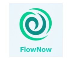 FlowNow Services | free-classifieds-usa.com - 1
