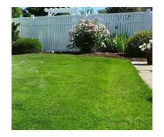 Better Care Landscaping Corp. | free-classifieds-usa.com - 1