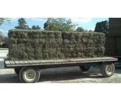 Small Squares – Hay for Sale! Alfalfa & Mixed Grass | free-classifieds-usa.com - 1