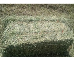 Small Squares – Hay for Sale! Alfalfa & Mixed Grass | free-classifieds-usa.com - 2