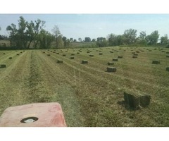 Small Squares – Hay for Sale! Alfalfa & Mixed Grass | free-classifieds-usa.com - 3