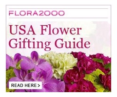 USA Flowers gifting guide | free-classifieds-usa.com - 1