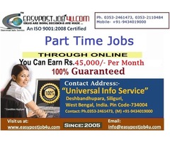 Earn at your Leisure by Working Online | free-classifieds-usa.com - 1
