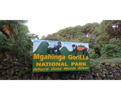  GORILLA TREKKING IN MGAHINGA NATIONAL PARK WITH COCAWEU CREATION SAFARIS | free-classifieds-usa.com - 1