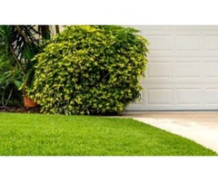 Doughty's Lawn Care | free-classifieds-usa.com - 1