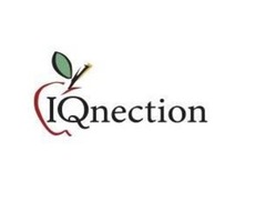 IQnection Web Design & Marketing | free-classifieds-usa.com - 2