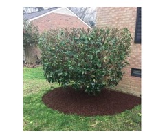 Jay's Lawn Care Service | free-classifieds-usa.com - 3