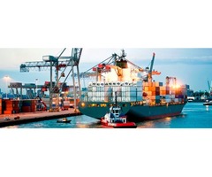 Transport and Logistics Services Company - FreightOptics | free-classifieds-usa.com - 2