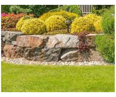 Daniel Landscaping Services | free-classifieds-usa.com - 1