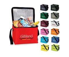Buy China Promotional Non-Woven Cooler Bags at Wholesale Price | free-classifieds-usa.com - 2